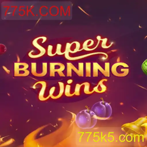 Explorando o Mundo do SuperBurningWins: Um Mergulho Detalhado